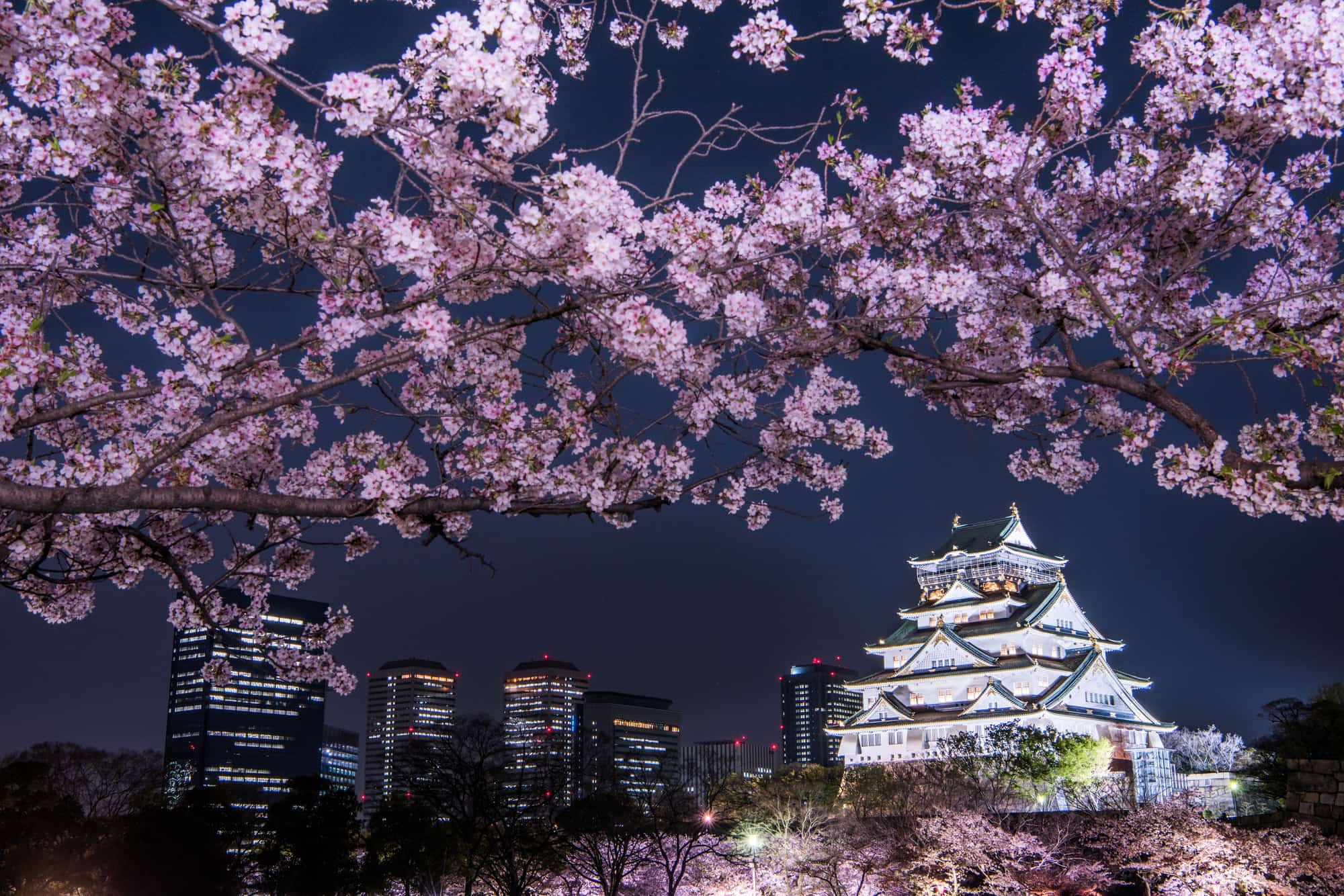Nhật Bản là nơi của những cánh hoa anh đào và nền trời xanh biết bao. Đây là thời điểm tuyệt vời để đi du lịch tại Osaka và trải nghiệm không gian thơ mộng của những hàng cây anh đào rực rỡ. Hãy xem hình ảnh đính kèm để tận hưởng vẻ đẹp của thành phố Osaka!